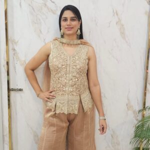 Party Wear -Indo western Item code : 3297