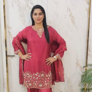 partywear suit with handwork tissue fabric . Item code : 6242