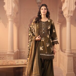 Farshi Designer suit Item Code :1309GB